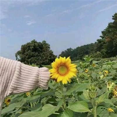 世界首富模拟器中文版下载